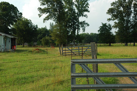 Picture of Land
