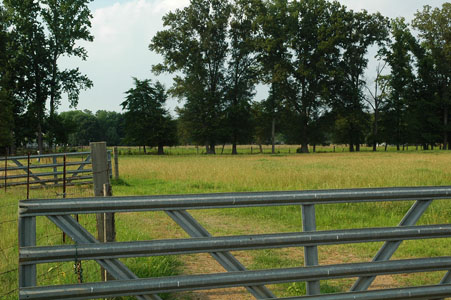 Picture of Land