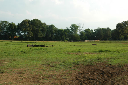 Picture of Land