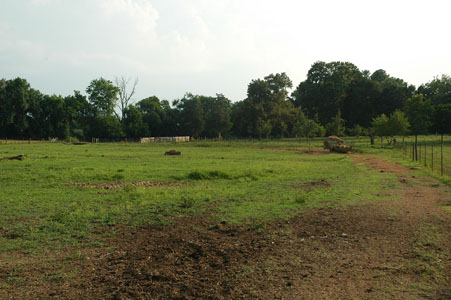 Picture of Land