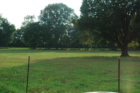 Picture of Land
