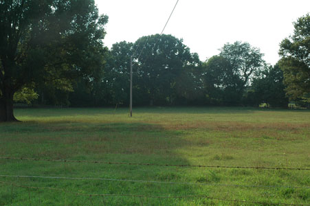 Picture of Land